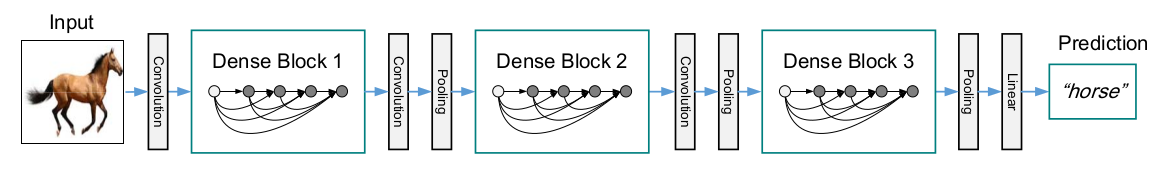 DenseNet Overview